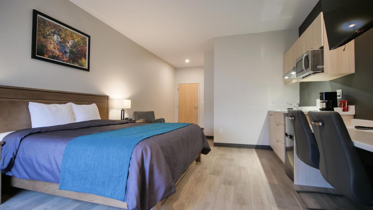 Motel L'Abri Carleton-sur-Mer Extérieur photo